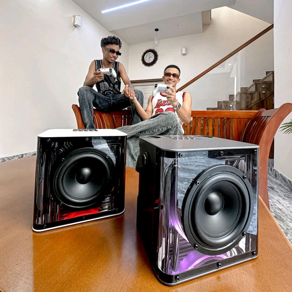 Portable Bluetooth Speaker Dynamic Sound with 2 wireless mics Karaoke 15 W Bluetooth Speaker (Stereo Channel) - Black