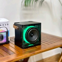 Portable Bluetooth Speaker Dynamic Sound with 2 wireless mics Karaoke 15 W Bluetooth Speaker (Stereo Channel) - STR1