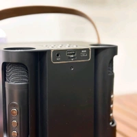 Portable Bluetooth Speaker Dynamic Sound with 2 wireless mics Karaoke 15 W Bluetooth Speaker (Stereo Channel) - STR1