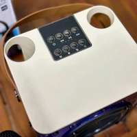 Portable Bluetooth Speaker Dynamic Sound with 2 wireless mics Karaoke 15 W Bluetooth Speaker (Stereo Channel) - STR2