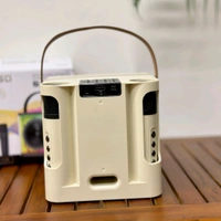 Portable Bluetooth Speaker Dynamic Sound with 2 wireless mics Karaoke 15 W Bluetooth Speaker (Stereo Channel) - STR2