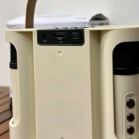 Portable Bluetooth Speaker Dynamic Sound with 2 wireless mics Karaoke 15 W Bluetooth Speaker (Stereo Channel) - STR2