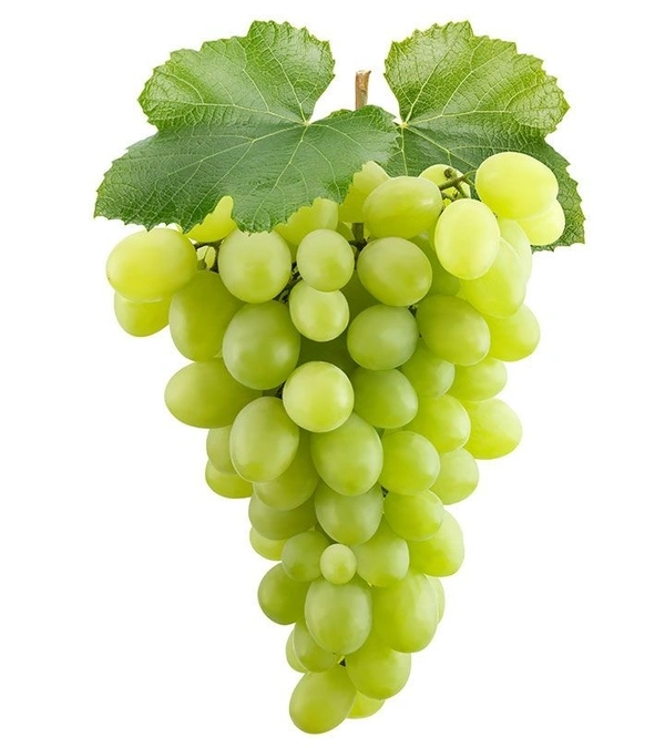 Green Grapes (Hiravi Drakshe) - 500gm, Green Yellow