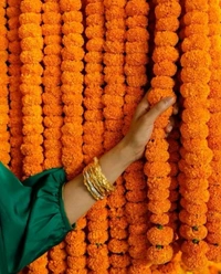 Orange Marigold String  Bunch - 10 Feet