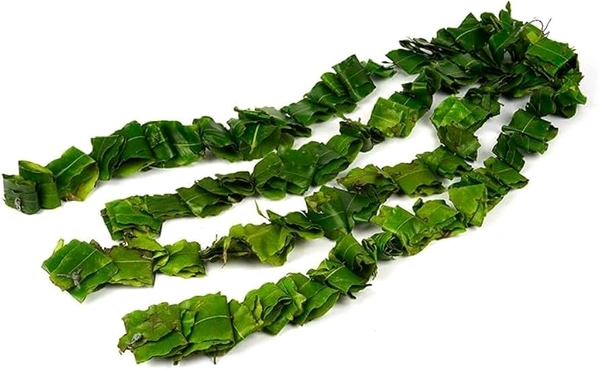 Green Leafs Strings (Ashok Leafs)