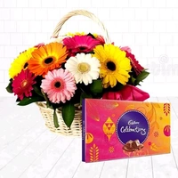 Mix Gerbera Basket And Celebration Chocolate 