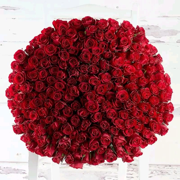 Big 100 Roses Bunch