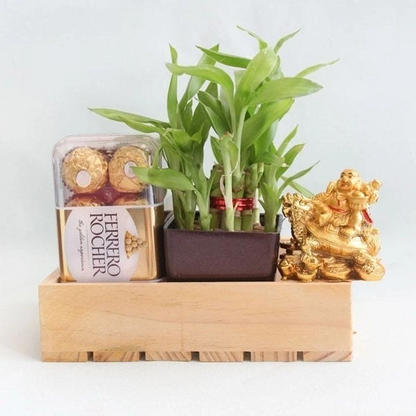 lucky bamboo and chocolate hampers