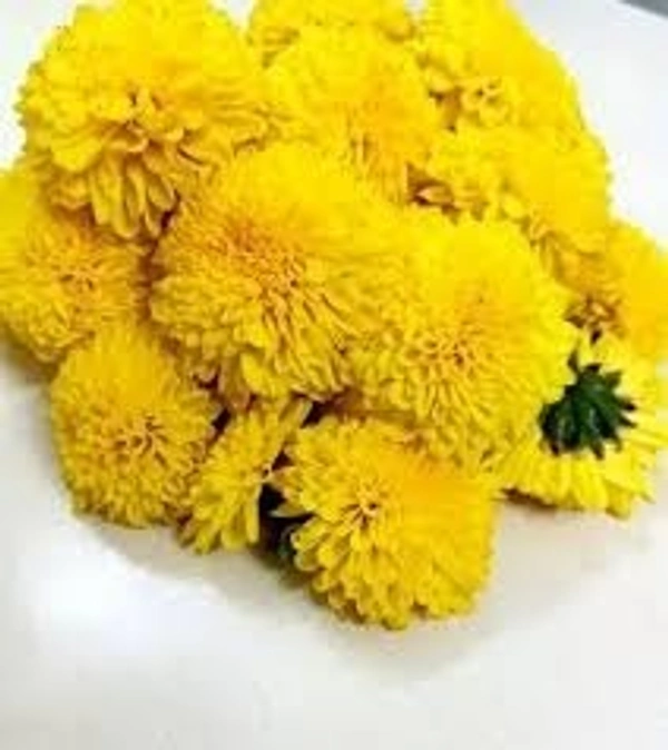 yellow flowers 250-500gm