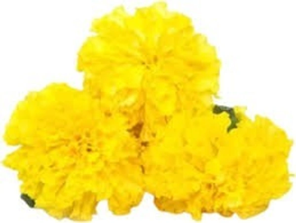 yellow flowers 250-500gm