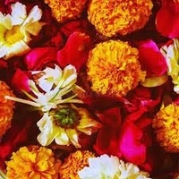 mix pooja flowers 100gm-200gm