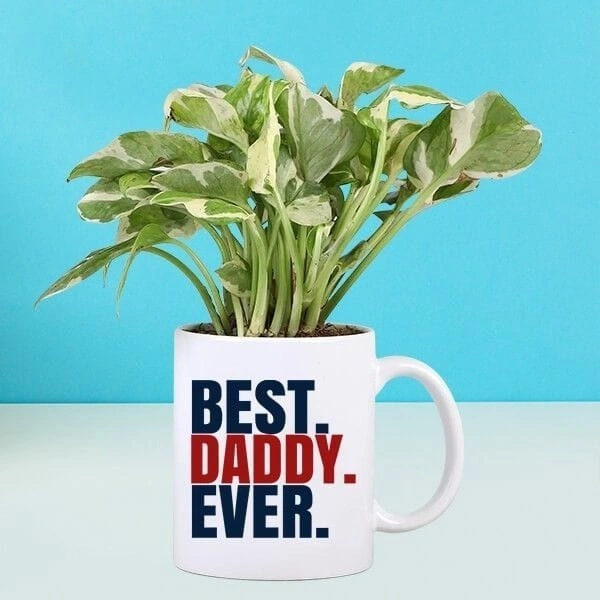 money plant with mug