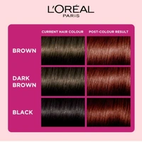Loreal Paris Casting Creme Hair Color, Ebony black 200 ,160gm 