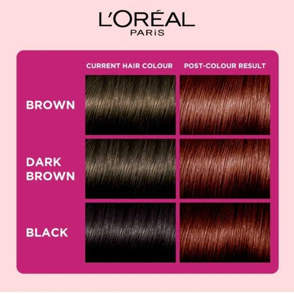 Loreal Paris Casting Creme Hair Color, Ebony black 200 ,160gm 