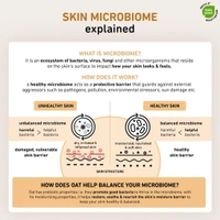 plum Plum 1% Prebiotic Oat & Allantoin All-Day Moisturizing Face Cream 50gm