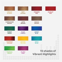 Streax Hair Colour Highlighting Kit - Crimson Red (75g)