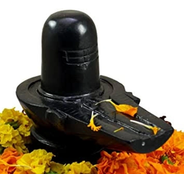 ShivLing(Black Stone) - Medium