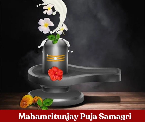 Mahamritunjay Jaap Puja - General