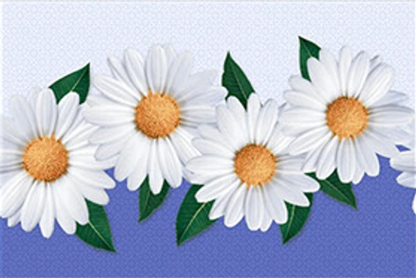 DIGNIFY KERAMOS Digital glossy wall tiles for bathroom and kitchen wall |Glossy surface finish| 12x18 inch size | 6pc in one box | waterproof | scratchproof 1142-HL 12X18 - 12x18 inch