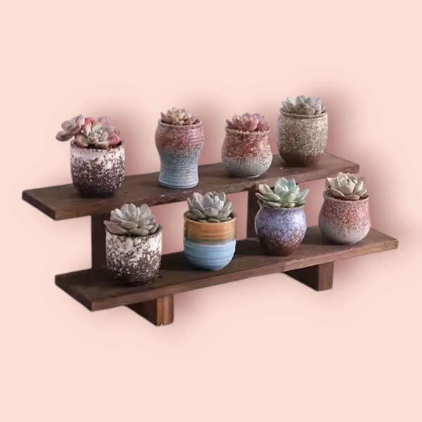 2 Step Collapsible Pinewood Stand