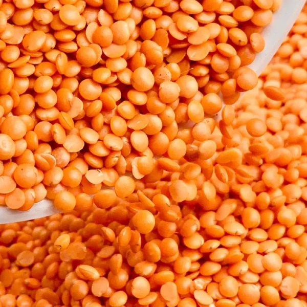 Bengal's Bigbazar Branded Masoor Dal - Premium Quality (Small Dana) - 250 GM