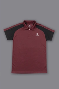 Cruister-Pack of 16 Pcs-@170/Pc- Polo Designer Half Sleeve T-shirt - M,L,XL,XXL, Black, Wine, Dark Grey, Pista