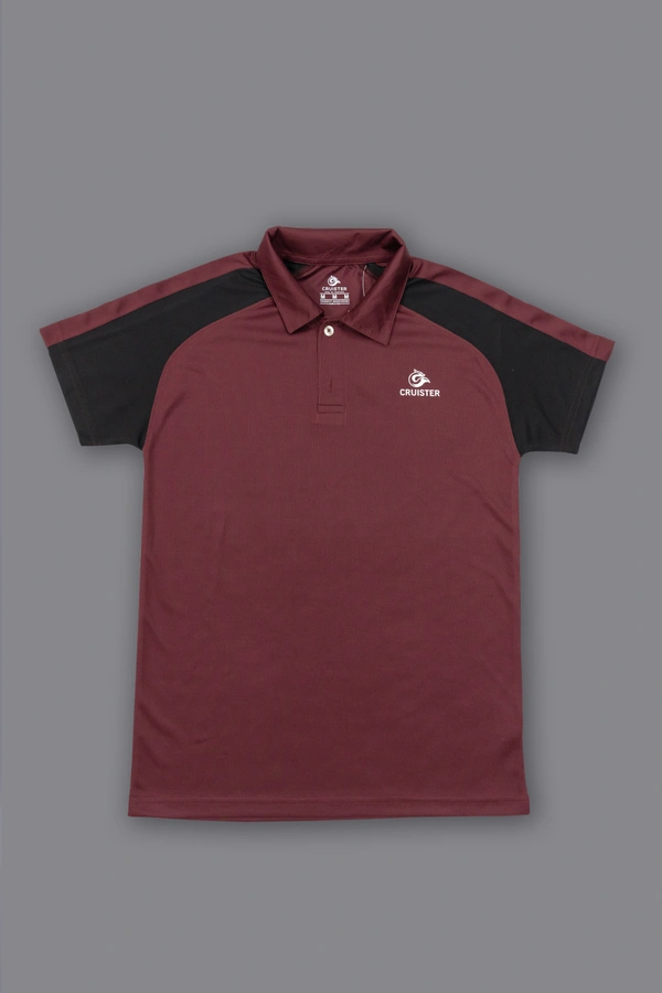 Cruister-Pack of 16 Pcs-@170/Pc- Polo Designer Half Sleeve T-shirt - M,L,XL,XXL, Black, Wine, Dark Grey, Pista