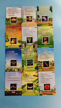 Quiz,Good Habits,Thigs That Go Together Flash Cards For 3+ Years Kids