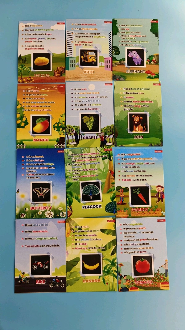 Quiz,Good Habits,Thigs That Go Together Flash Cards For 3+ Years Kids