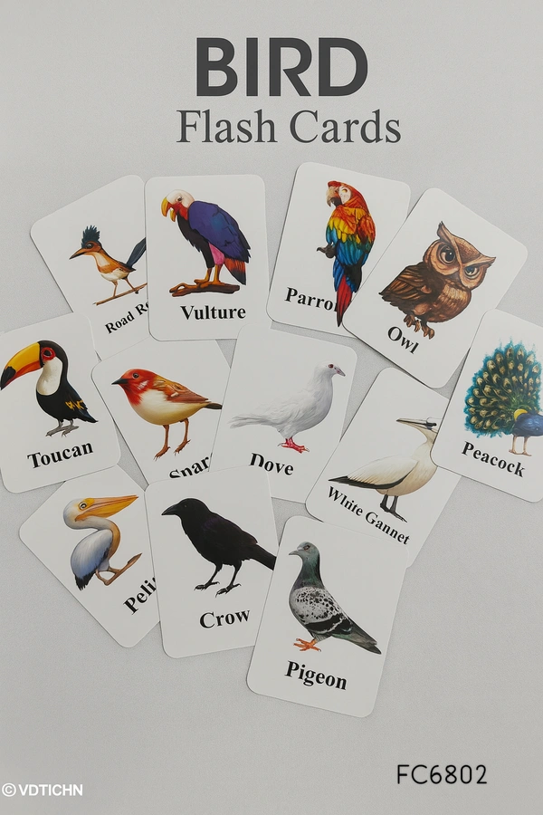 Villows Flash Card - Birds | Pack of 1| White | FC6802 - 3+ mon, Assorted
