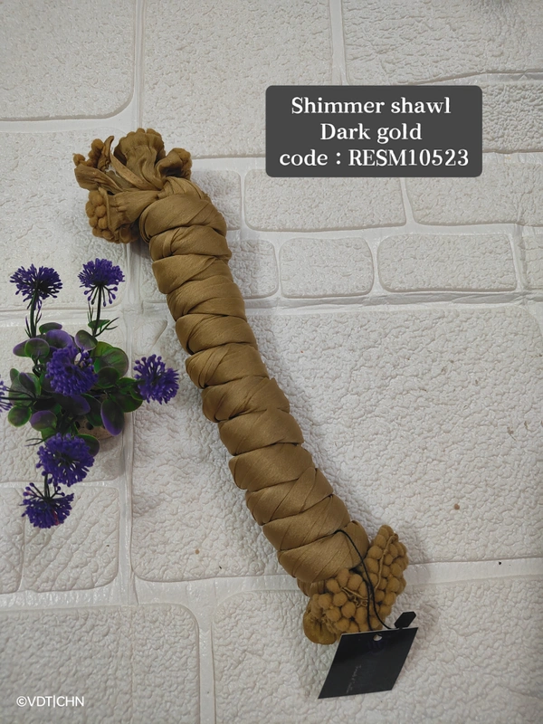 Ruthvi Ethnics Shimmer Shiny Shawl RESM10523 - FS, Dark Gold