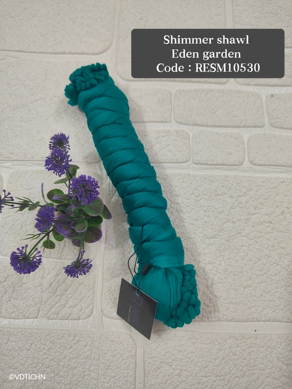 Ruthvi Ethnics Shimmer Shiny Shawl RESM10530 - FS, Eden Garden