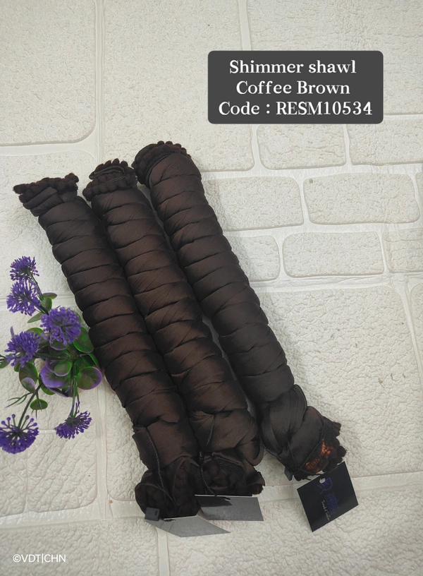 Ruthvi Ethnics Shimmer Shiny Shawl RESM10534 - FS, Coffee Green