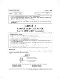 Shiv Das CBSE 2024 Exam Past 7 Year Board Papers + Sample Papers Science Class 10