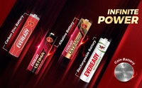 Eveready Everedy Ultima Alkaline AA Battery & Cell 1.5V 800% Longer Lasting Pack of 6 Pieces