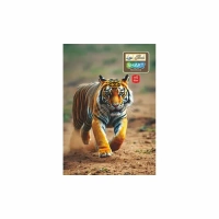 Hans Smart A4 Size Notebook Pages 280 Soft Cover