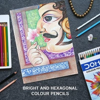 Doms Colour Pencils 12 Shades Full Size