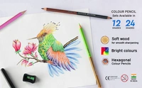 Doms Colour Pencils 24 Shades Full Size -