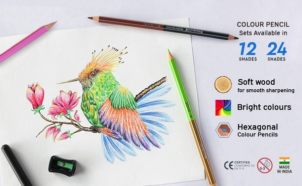 Doms Colour Pencils Round Tin Pack 12 Shades -