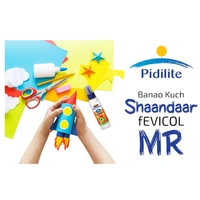 Pidilite Fevicol Mr White Adhesive 1 kg
