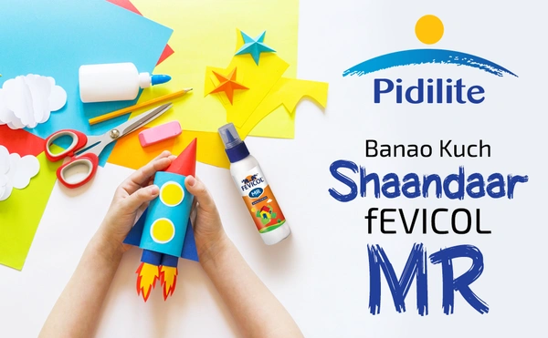 Pidilite Fevicol Mr White Adhesive 100 gram