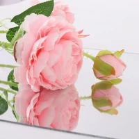 ACRYLIC MIRROR 30*30 CM,  Shatterproof Lightweight Plastic Mirror for Home Wall Décor, DIY Crafts, Gym Glass, Bathroom, Living Room, Office, and Event Decoration  (2197)