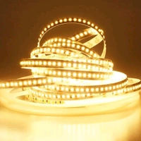 5M WW STRIP LED 240L, 5 Meter LED Strip Light with Driver | 240L 25W Warm White LED Strip for False Ceiling, Kitchen & Home Décor (600 LEDs)(2507)