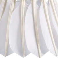 SHUTTLECOCKS LOOSE, Loose Shuttlecocks – Durable & High-Performance for Every Game (1461)