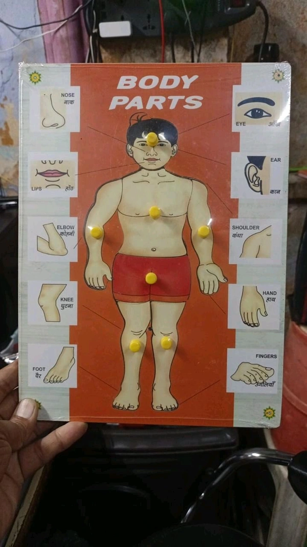 Wooden Block Body Parts - 6 pcs and above