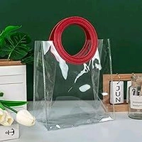 Premium Transparent/ translucent Gift Bags with Handle Big (10*12 inches) - 25 minimum