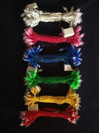 Light 40 Feet Indian RGB jhalar seires LED Pixel Light, Plug-in, 12 V,