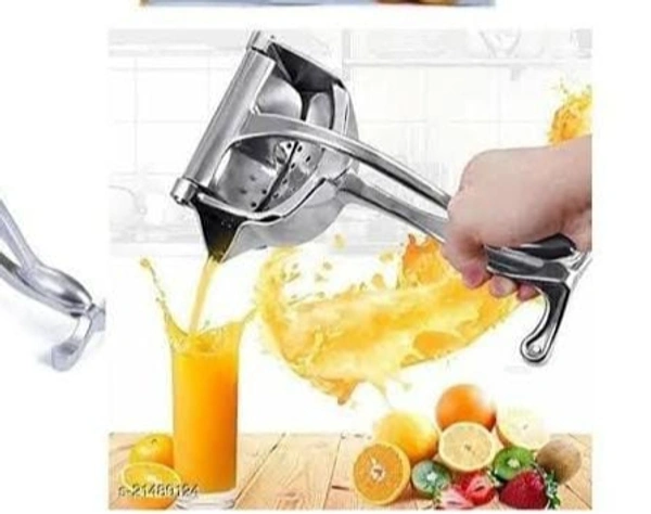 Fruit press juicer