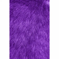 Shopnav Apple iphone XR Purple coloring hair Mobile Case Cover