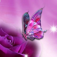 Shopnav Redmi Note 7 Pro Lavender Butterfly with cool Background Mobile Case - Purple, Hard Case, 0.25, Birds
